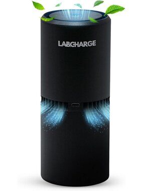 Small Ionic Air Purifier for Home & Bedroom - Silent HEPA Filter, 250 Sq Ft